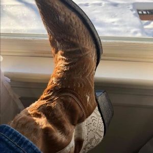 Super cute Old Gringo boots